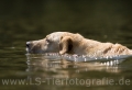 39 Wasseraction